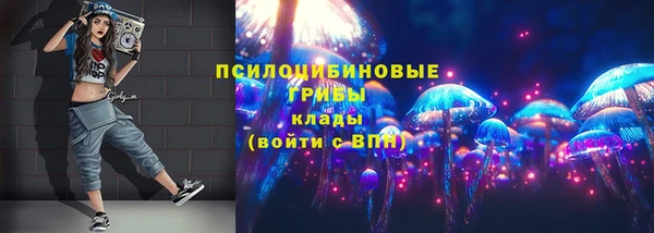 гашик Каменногорск