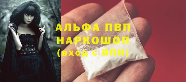 гашик Каменногорск