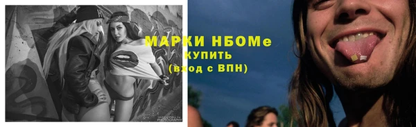 гашик Каменногорск