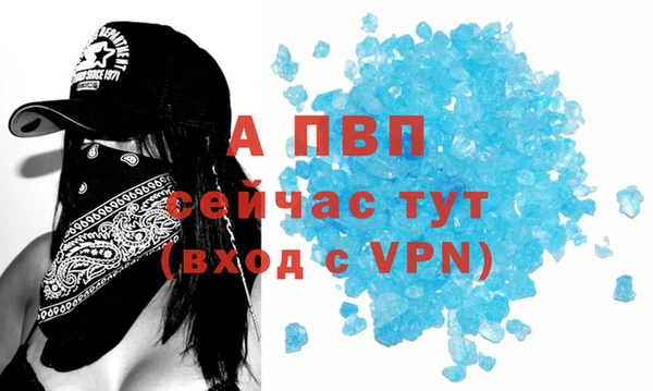 гашик Каменногорск