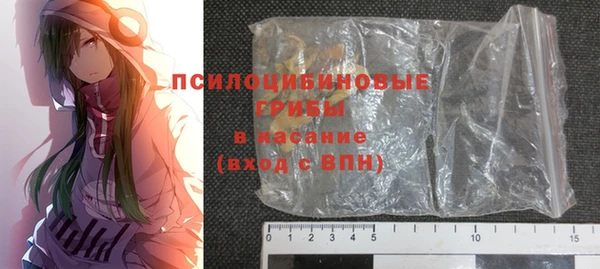 гашик Каменногорск