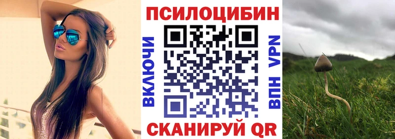 Галлюциногенные грибы GOLDEN TEACHER  Купить  Сегежа 